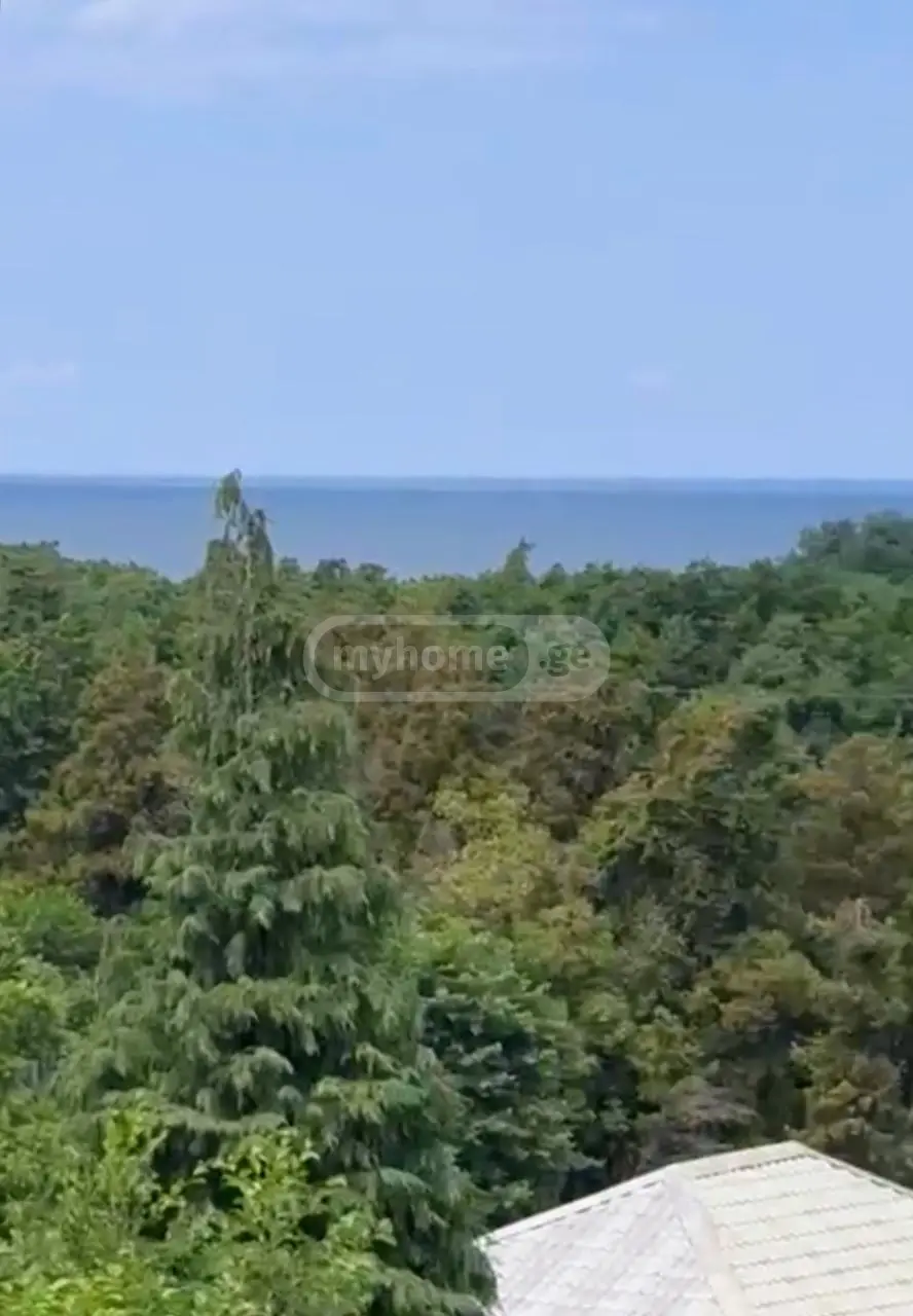 For Sale Ara Sasoplo-Sameurneo Land Plot Kobuletis Munitsipalitetshi view 11