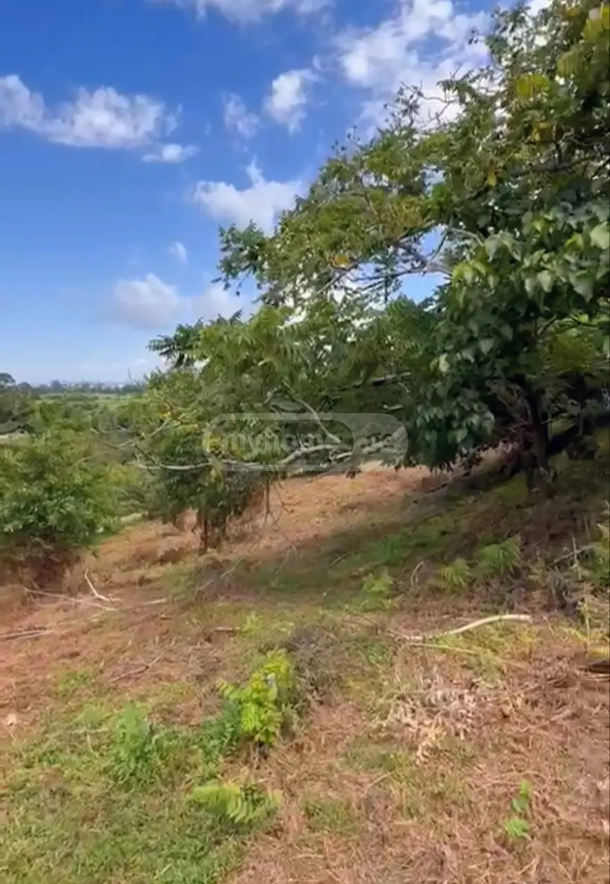 For Sale Ara Sasoplo-Sameurneo Land Plot Kobuletis Munitsipalitetshi view 8