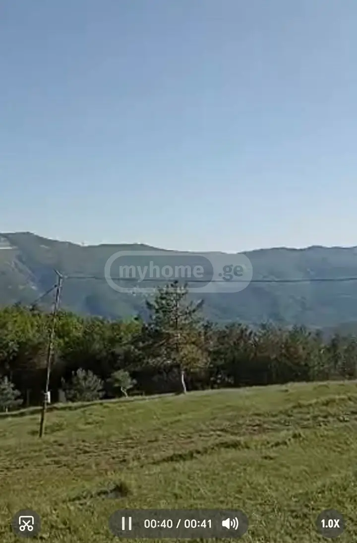 For Sale Sasoplo-Sameurneo Land Plot In Saburtalo, 4 of 4