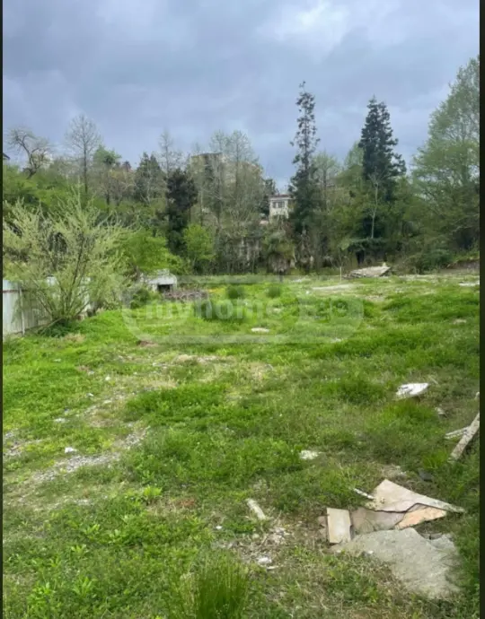 For Sale Ara Sasoplo-Sameurneo Land Plot In Batumi view 2