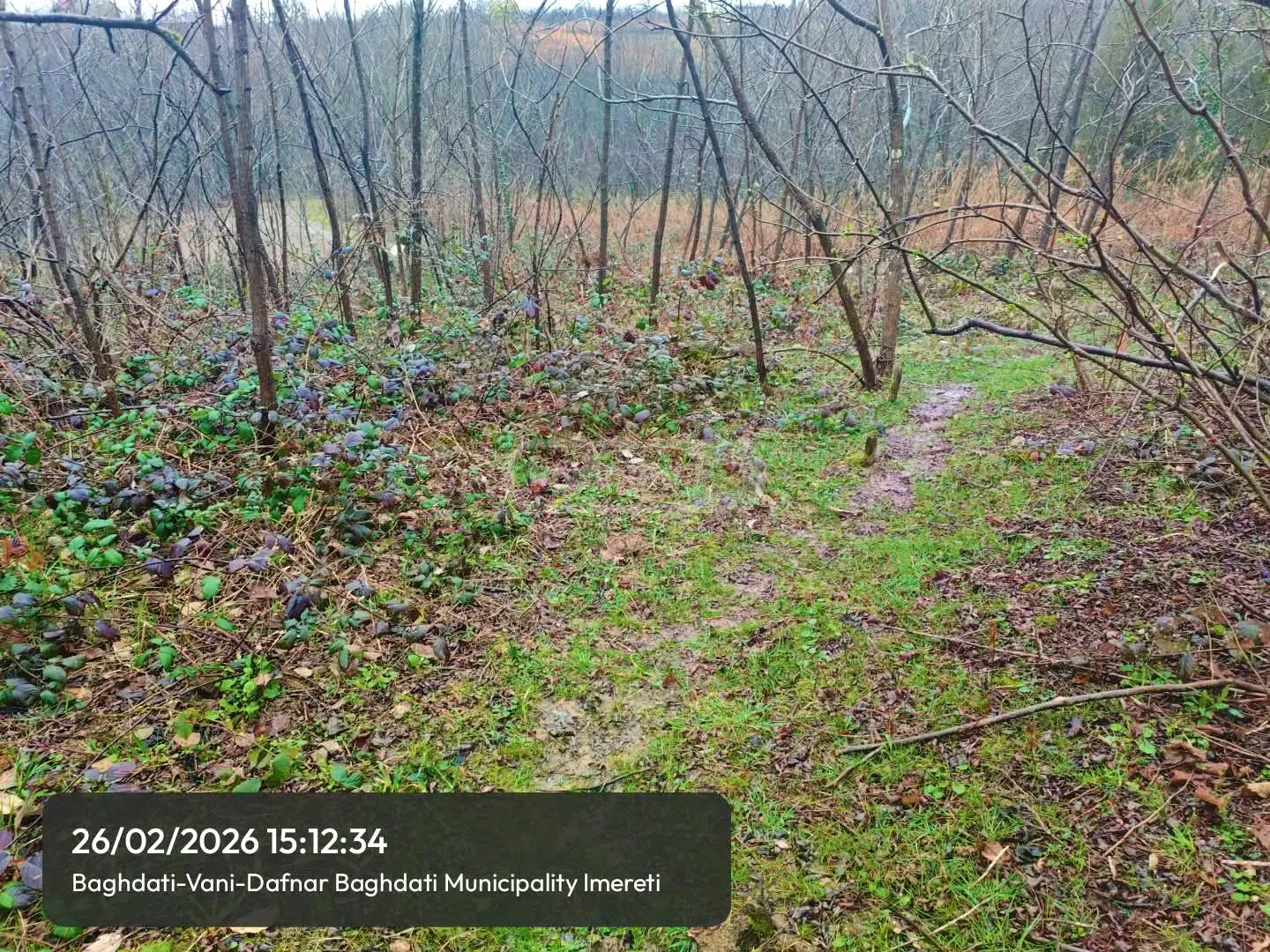 Продажа Земля / участок в Baghdatshi view 12