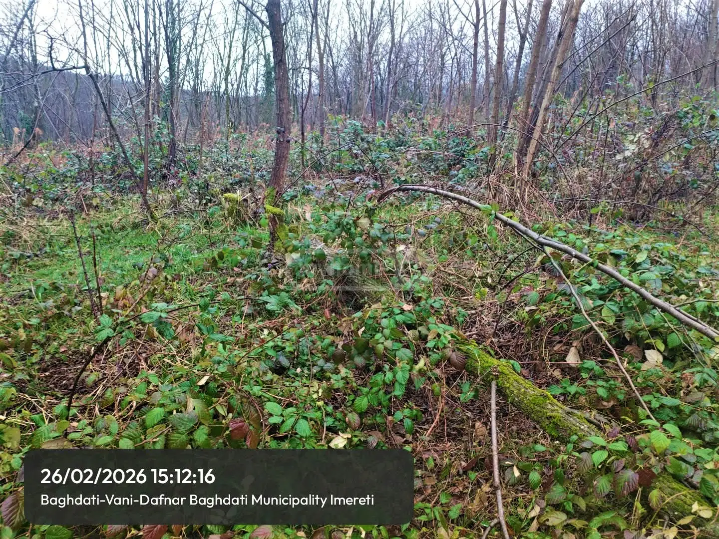 Продажа Земля / участок в Baghdatshi view 9