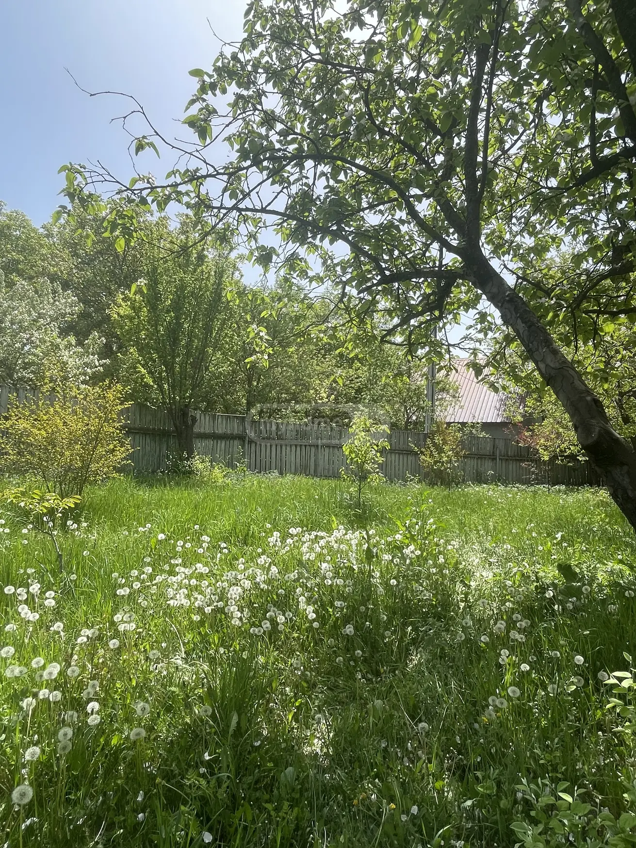 Продажа 4-комната Частный дом в Dushetis Munitsipalitetshi view 4