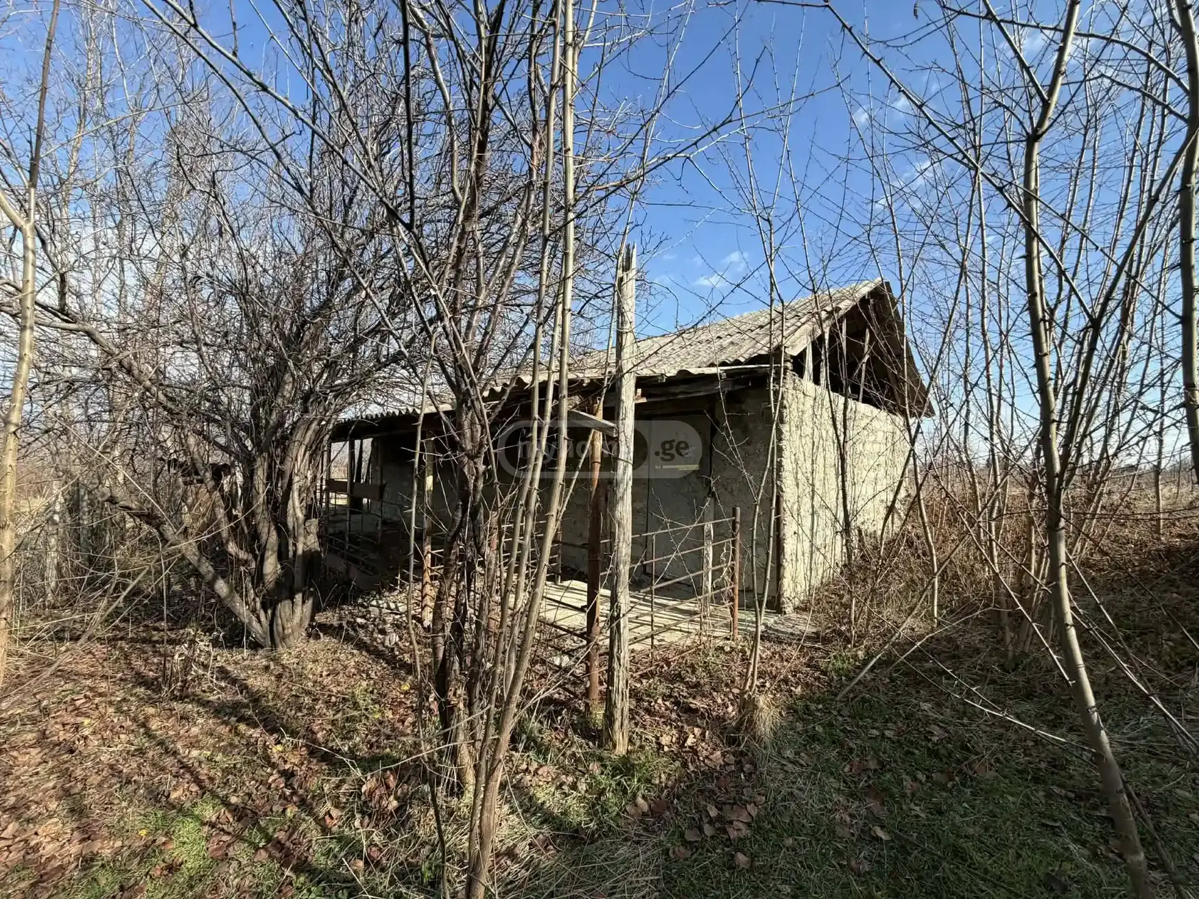 For Sale 2 Room Country House Telavis Munitsipalitetshi view 9