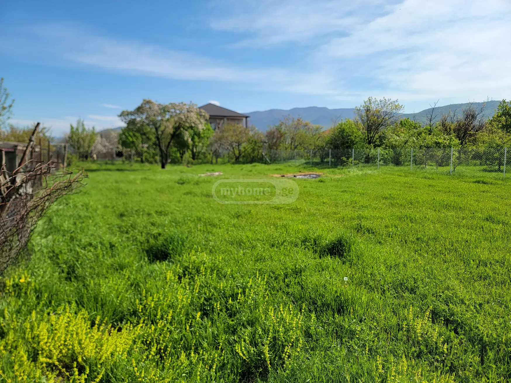 For Sale Sasoplo-Sameurneo Land Plot Mtskhetis Munitsipalitetshi view 8