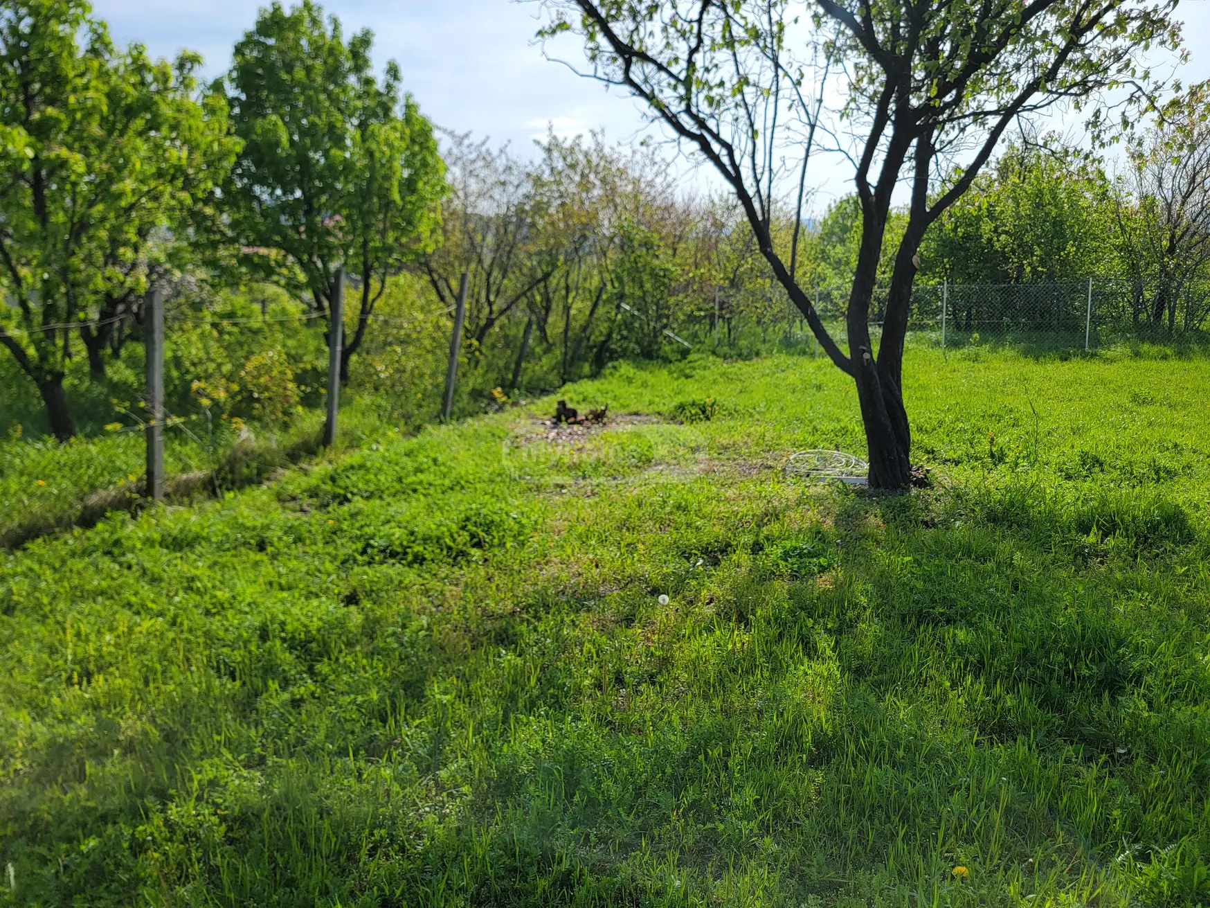 For Sale Sasoplo-Sameurneo Land Plot Mtskhetis Munitsipalitetshi view 7