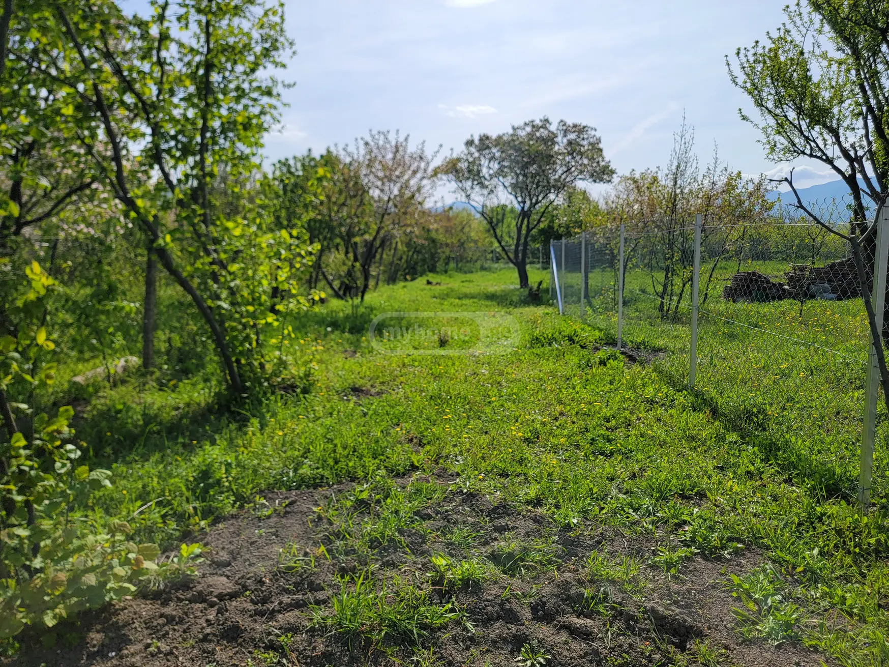 For Sale Sasoplo-Sameurneo Land Plot Mtskhetis Munitsipalitetshi view 4