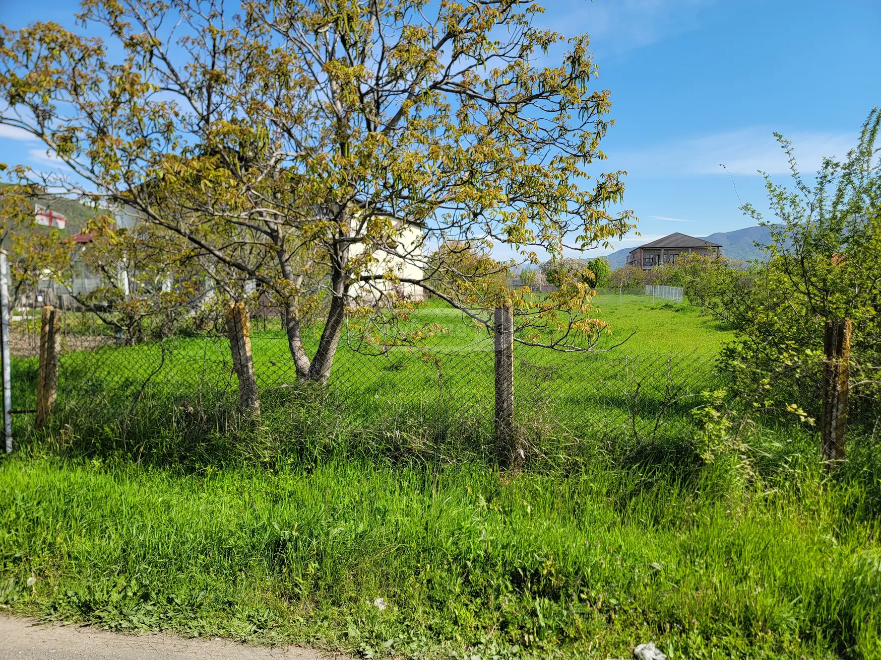 For Sale Sasoplo-Sameurneo Land Plot Mtskhetis Munitsipalitetshi view 8