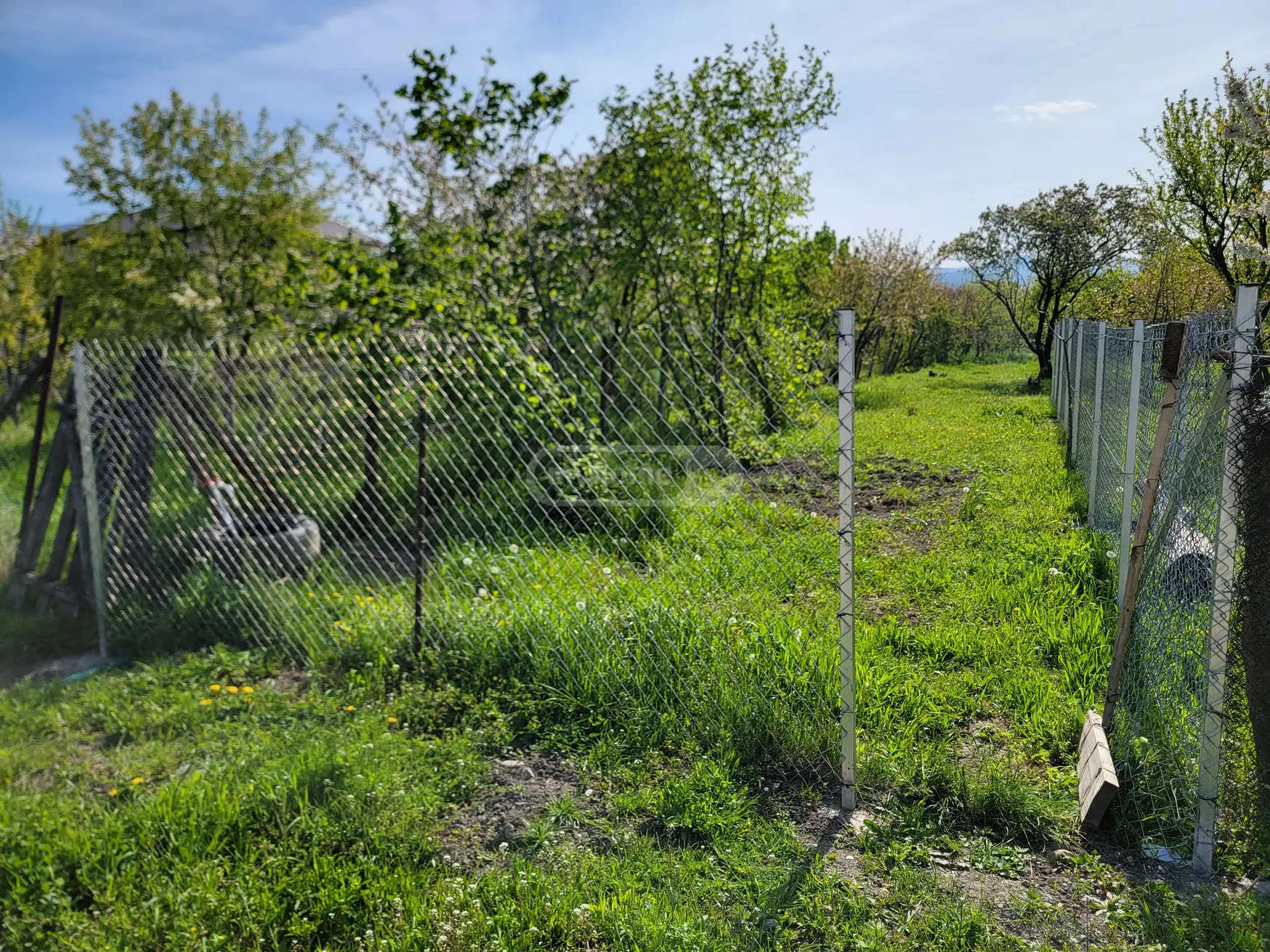 For Sale Sasoplo-Sameurneo Land Plot Mtskhetis Munitsipalitetshi view 3