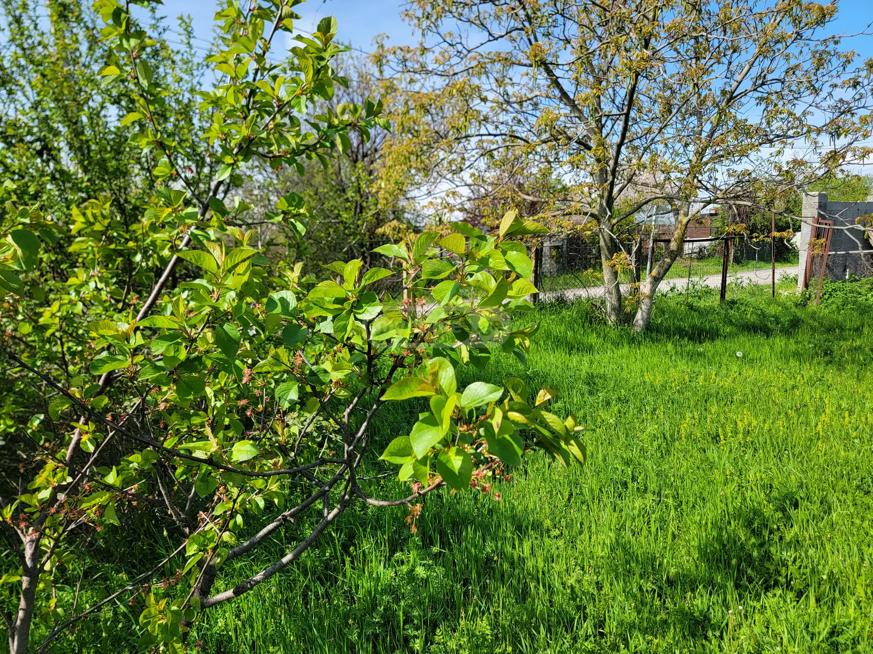 For Sale Sasoplo-Sameurneo Land Plot Mtskhetis Munitsipalitetshi view 3