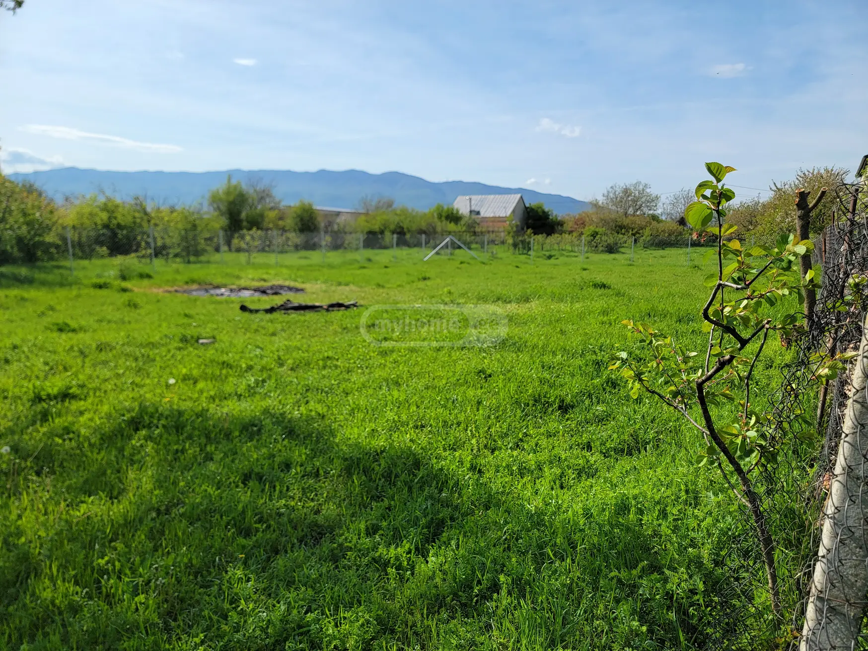 For Sale Sasoplo-Sameurneo Land Plot Mtskhetis Munitsipalitetshi view 6