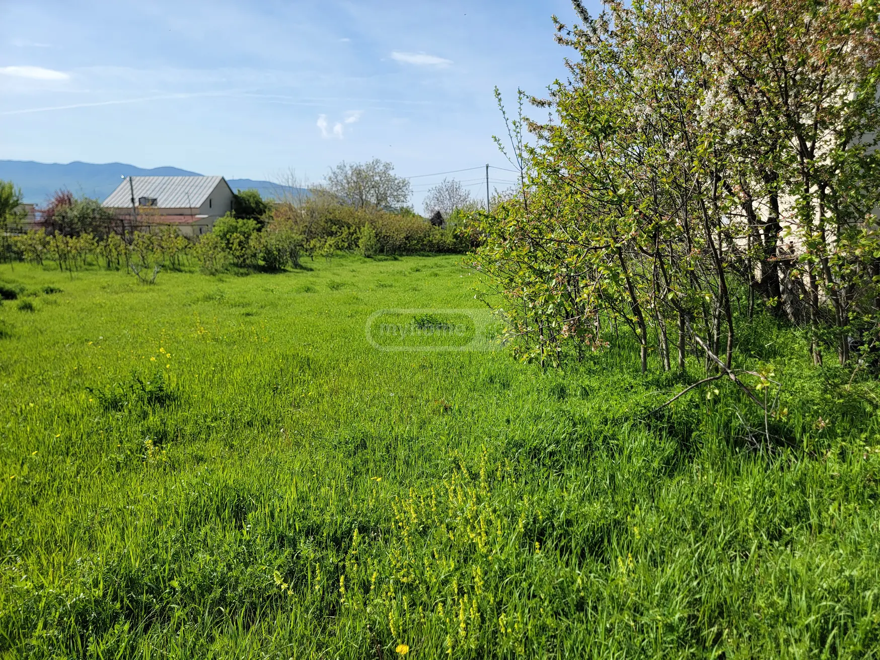 For Sale Sasoplo-Sameurneo Land Plot Mtskhetis Munitsipalitetshi view 7