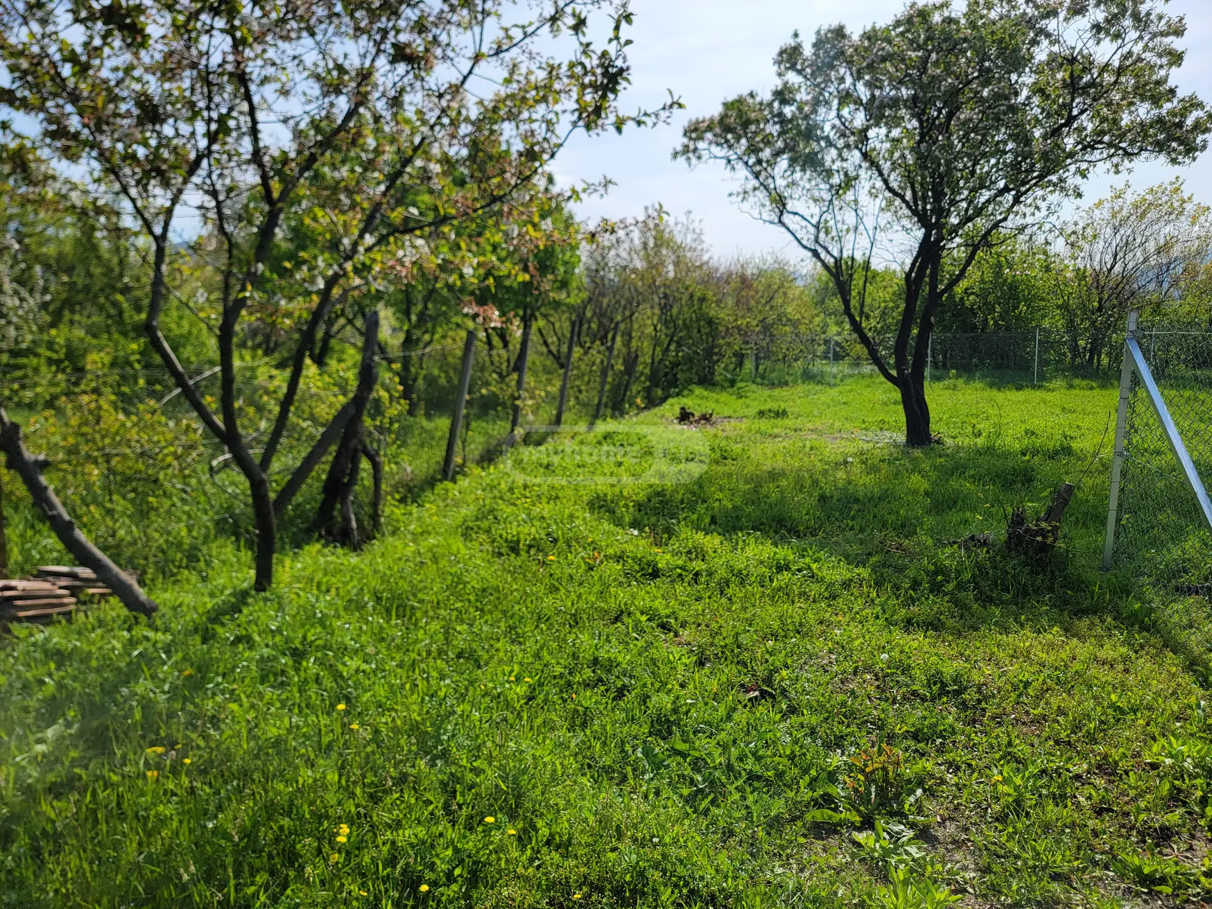 For Sale Sasoplo-Sameurneo Land Plot Mtskhetis Munitsipalitetshi view 5
