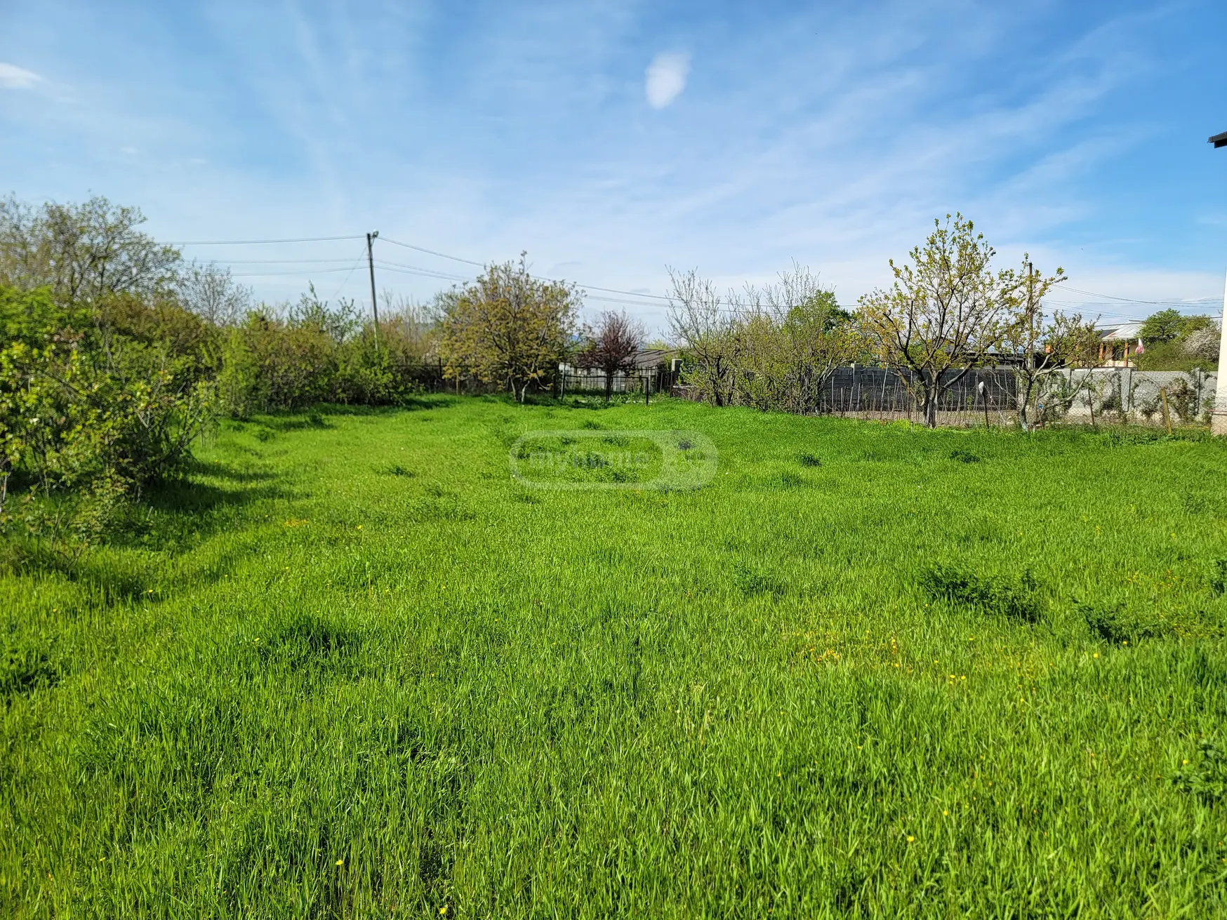 For Sale Sasoplo-Sameurneo Land Plot Mtskhetis Munitsipalitetshi view 5