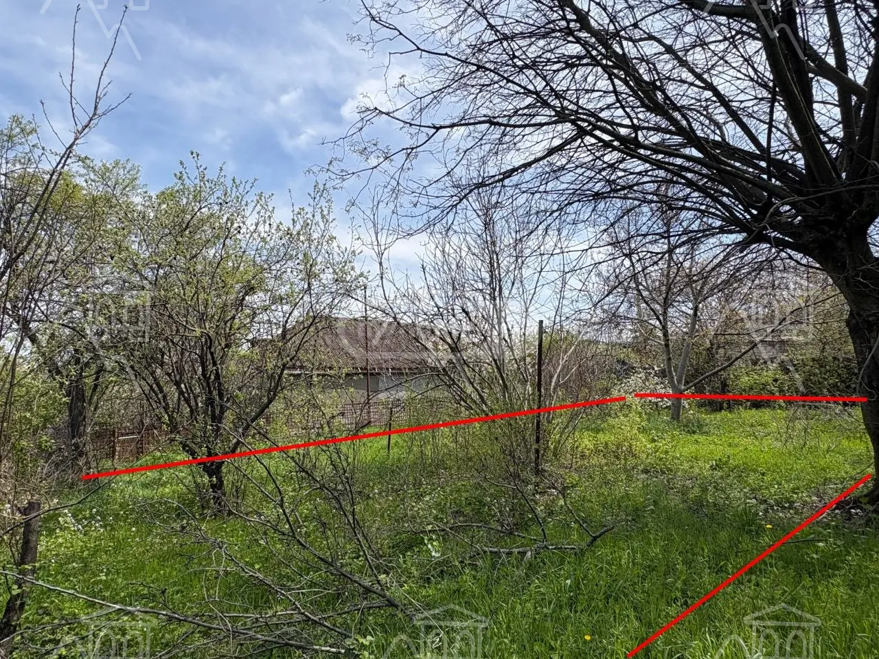 For Sale Spetsialuri Land Plot Zahesshi, 8 of 11