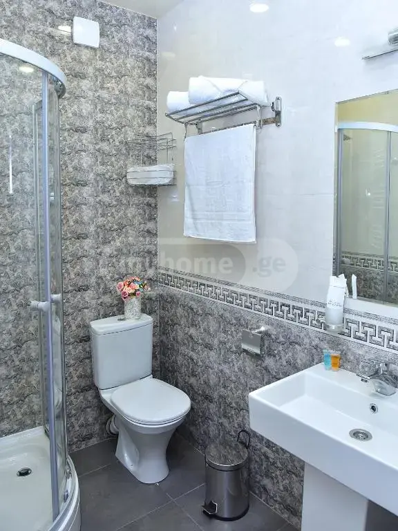 For Sale 9 Room Sastumro Lotkinze, 12 of 12