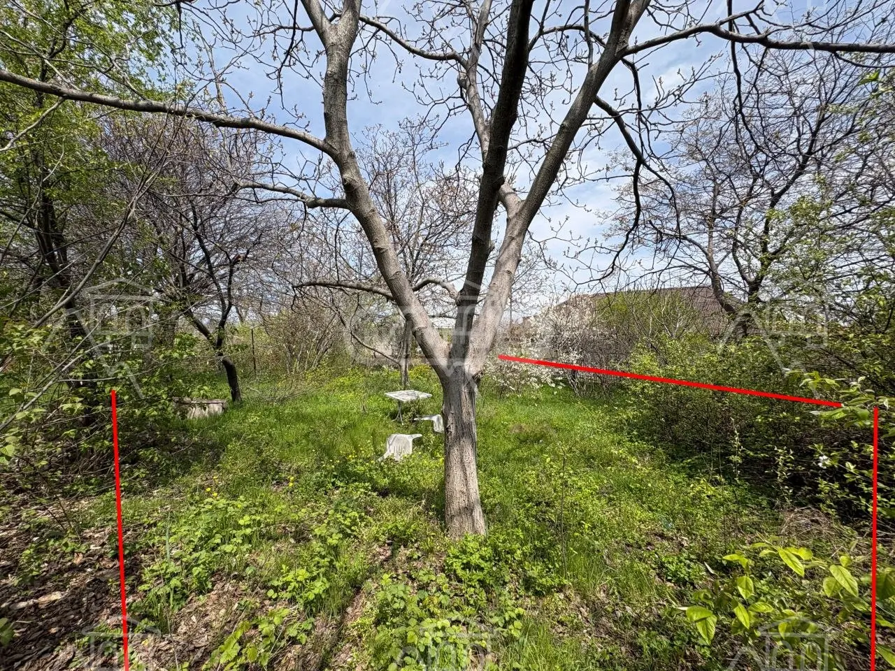 For Sale Spetsialuri Land Plot Zahesshi, 10 of 11