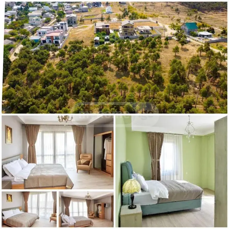For Sale 9 Room Sastumro Lotkinze, 2 of 12
