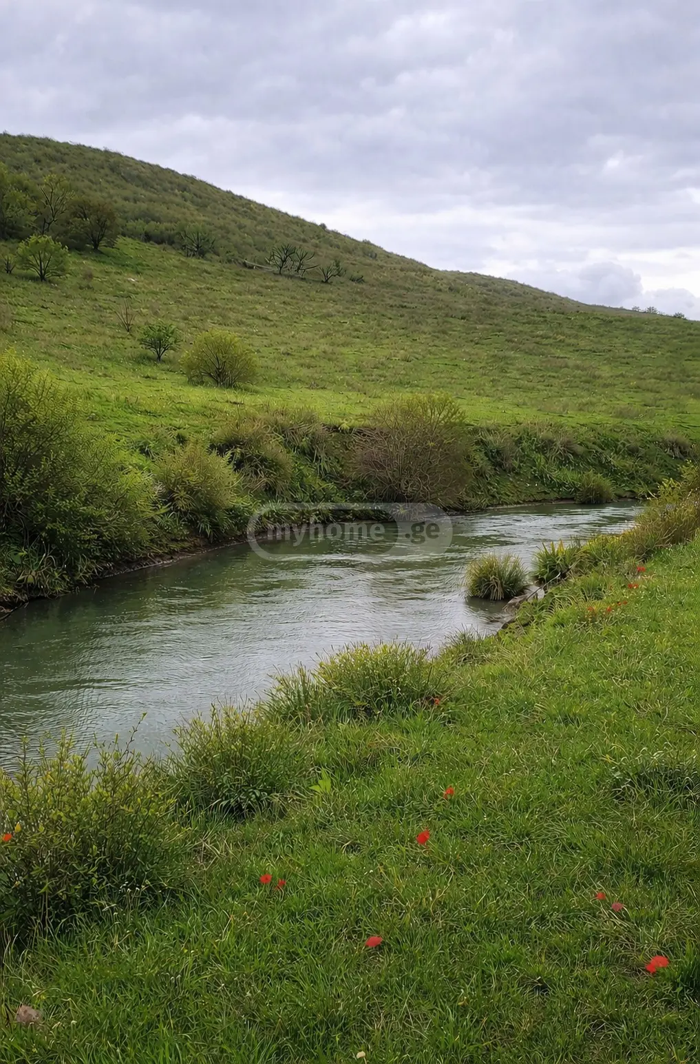 Daily Rent 4 Room Country House Kaspis Munitsipalitetshi view 7