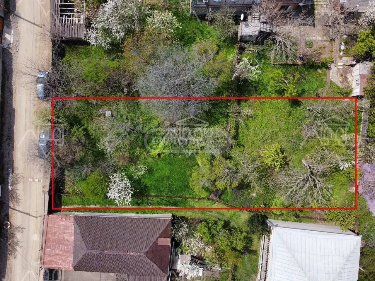 For Sale Spetsialuri Land Plot Zahesshi, 6 of 11