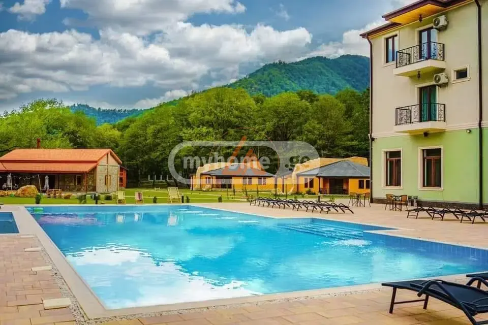 For Sale 10+ Room Sastumro Telavshi view 1