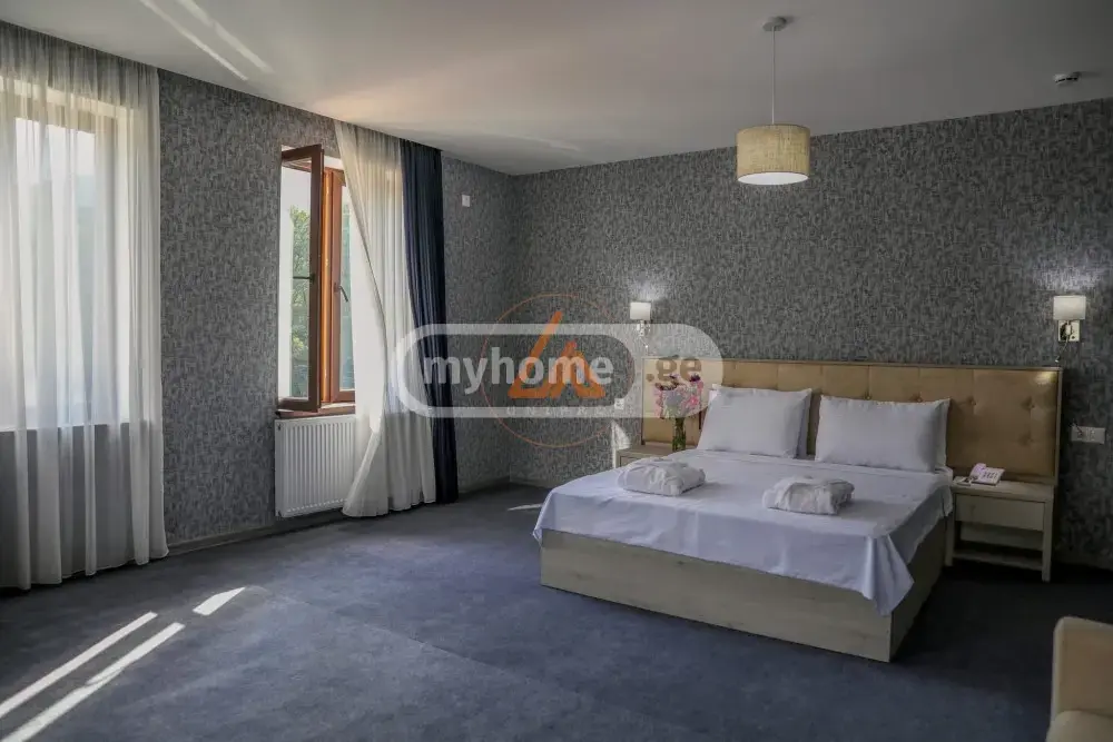 For Sale 10+ Room Sastumro Telavshi view 3