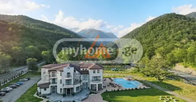 For Sale 10+ Room Sastumro Telavshi view 6