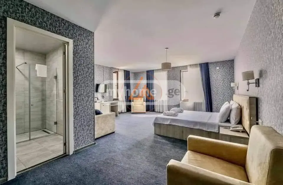 For Sale 10+ Room Sastumro Telavshi view 7