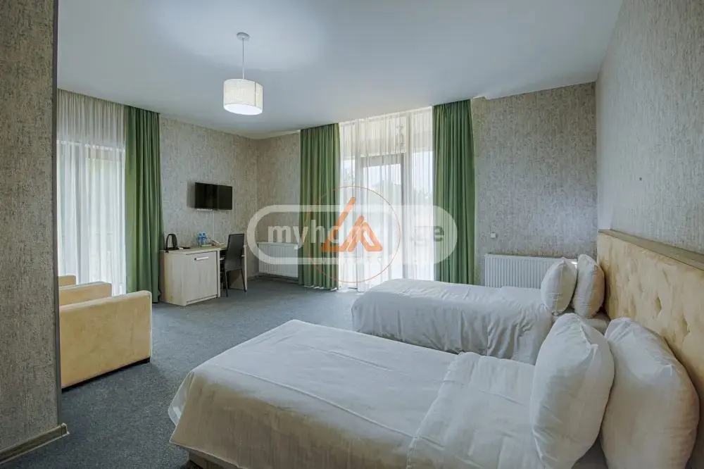 For Sale 10+ Room Sastumro Telavshi view 11