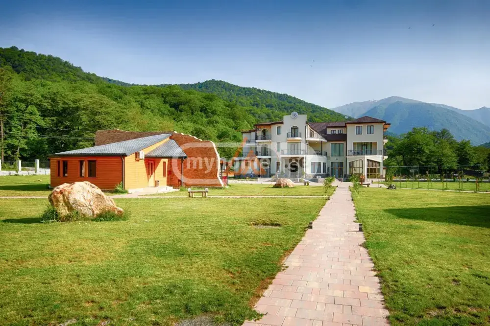 For Sale 10+ Room Sastumro Telavshi view 2