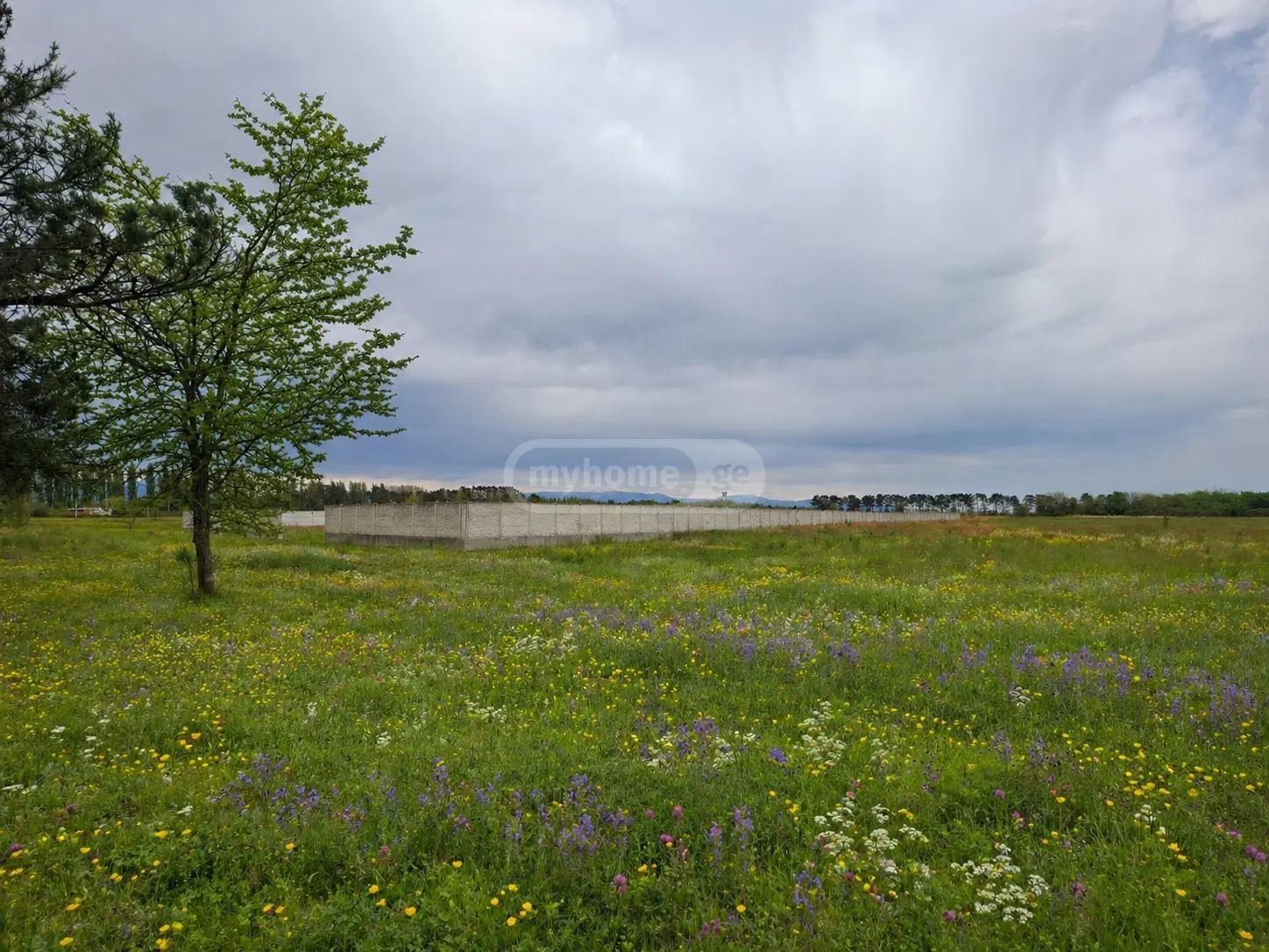 For Sale Sasoplo-Sameurneo Land Plot Samtrediashi view 1