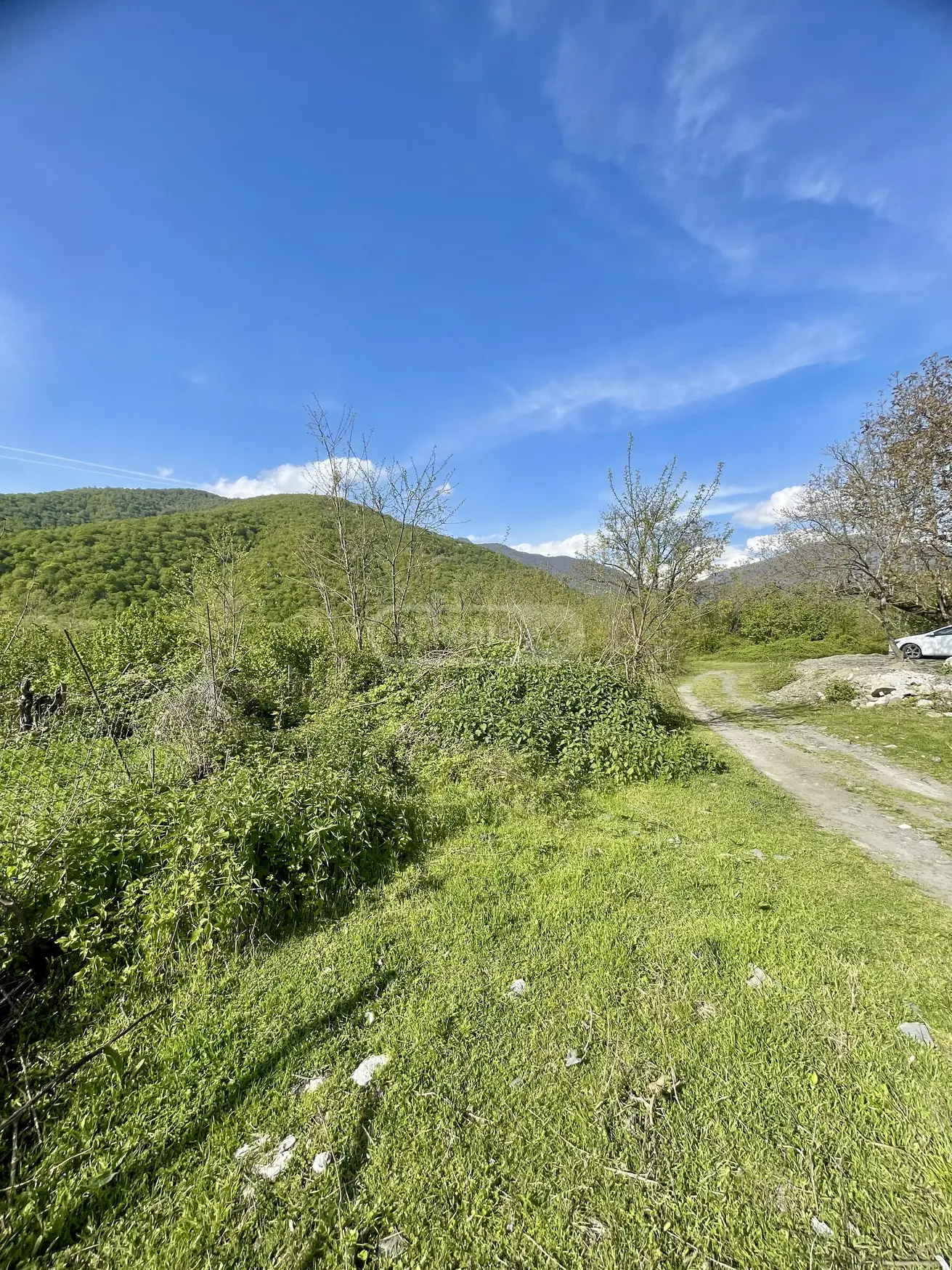 For Sale 5 Room Private House Telavis Munitsipalitetshi view 9