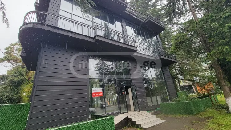 For Sale Universaluri Commercial Space Kobuletshi view 2