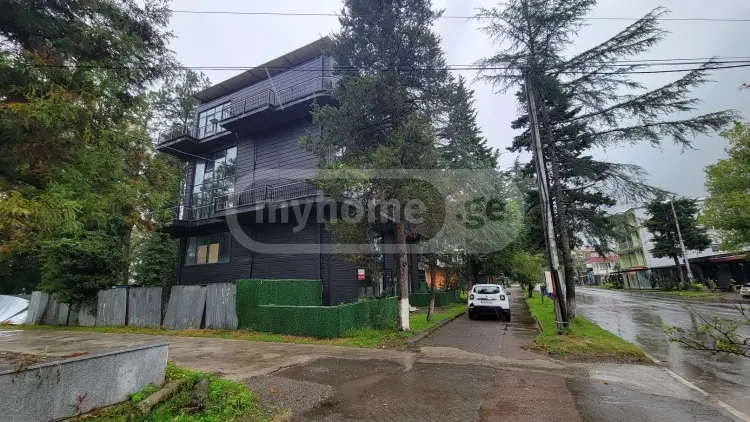 For Sale Universaluri Commercial Space Kobuletshi view 3
