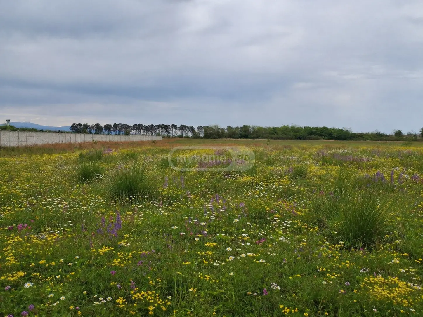 For Sale Sasoplo-Sameurneo Land Plot Samtrediashi view 2
