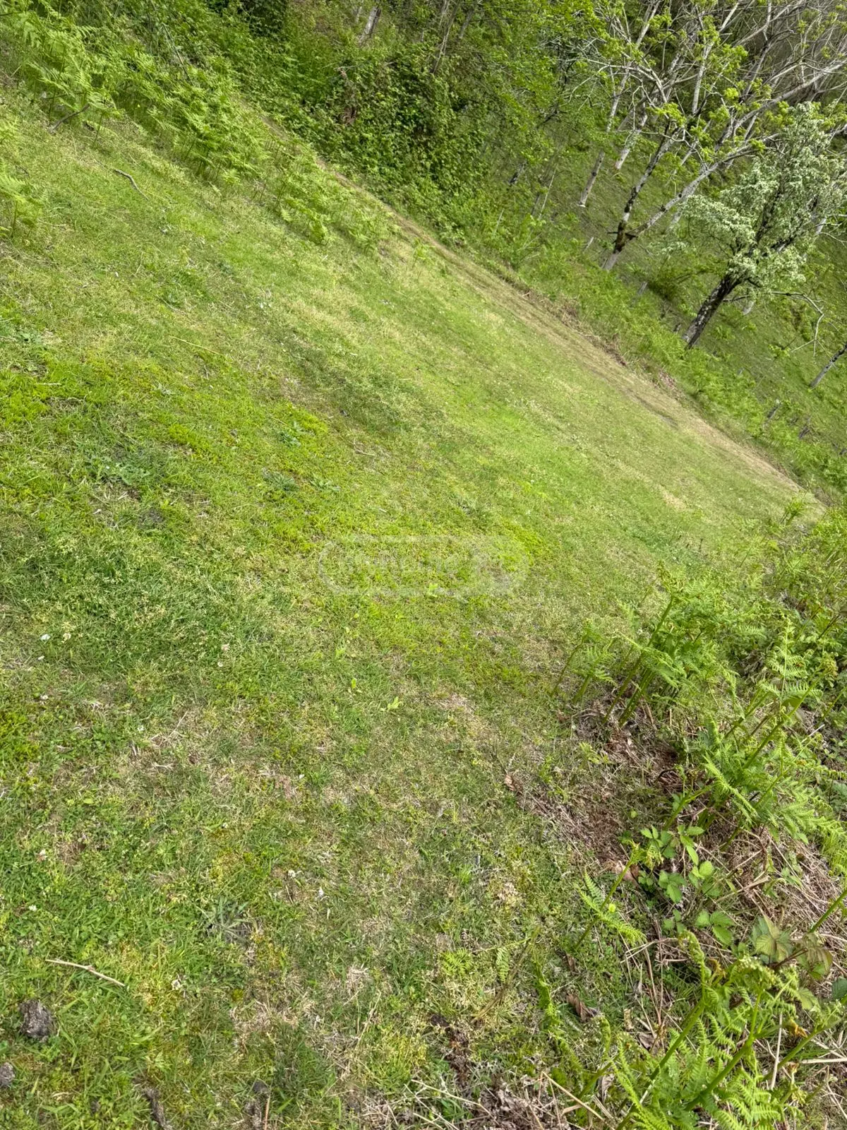 For Sale Sasoplo-Sameurneo Land Plot In Batumi view 10