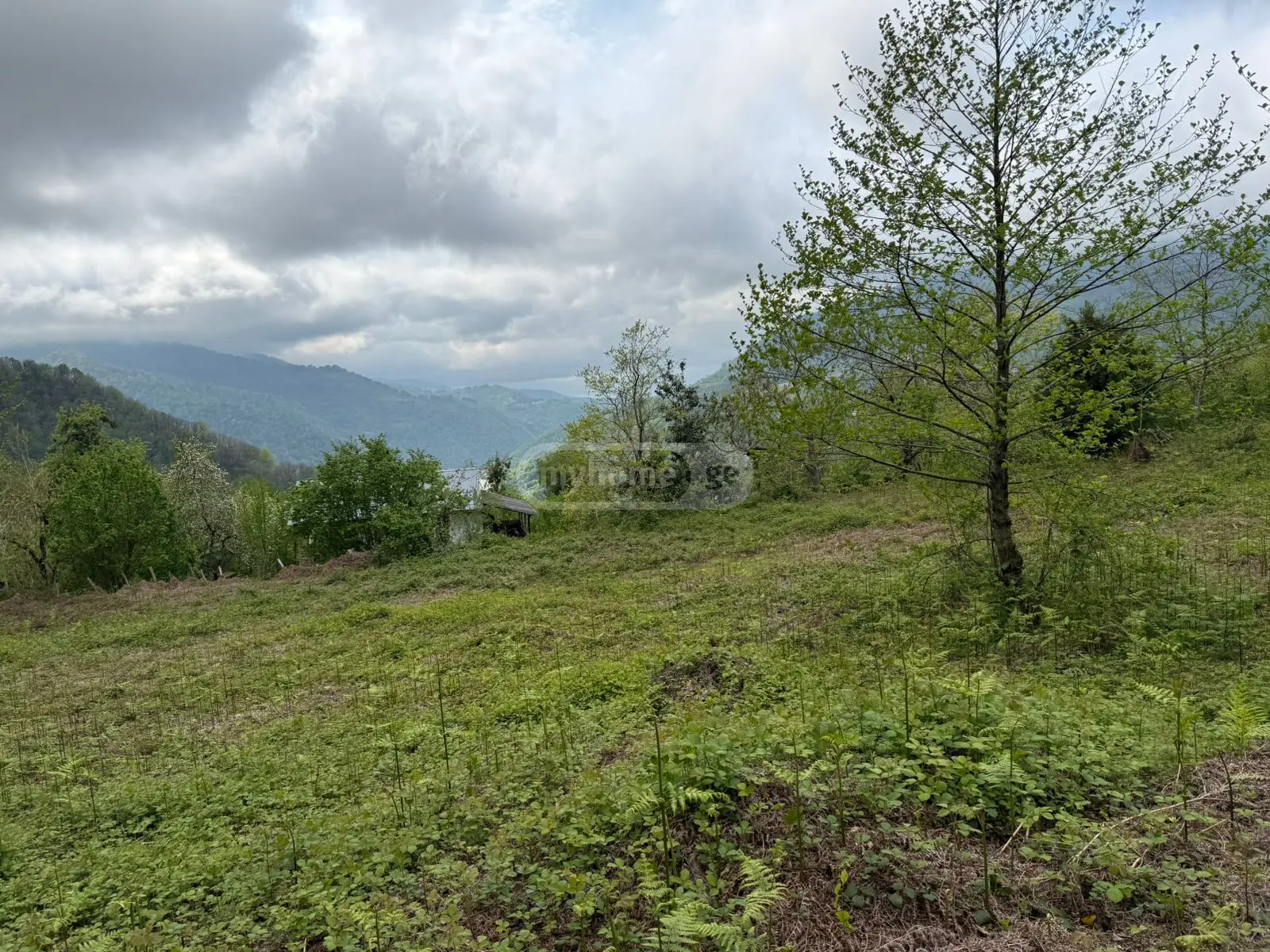 For Sale Sasoplo-Sameurneo Land Plot In Batumi view 8