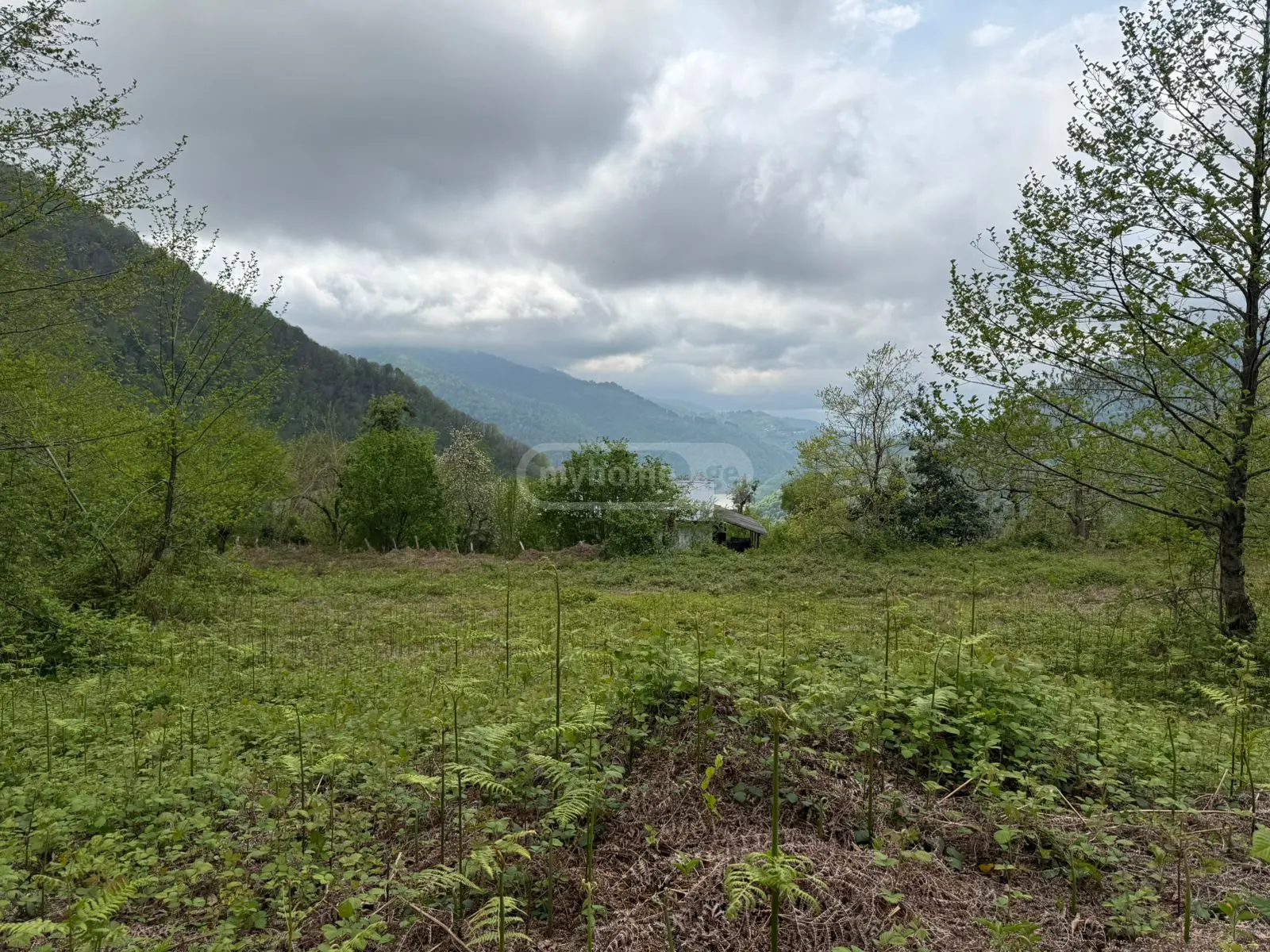For Sale Sasoplo-Sameurneo Land Plot In Batumi view 7