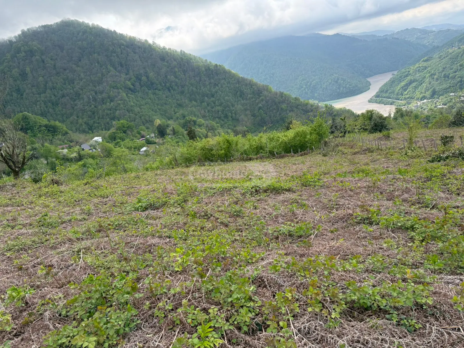 For Sale Sasoplo-Sameurneo Land Plot In Batumi view 2