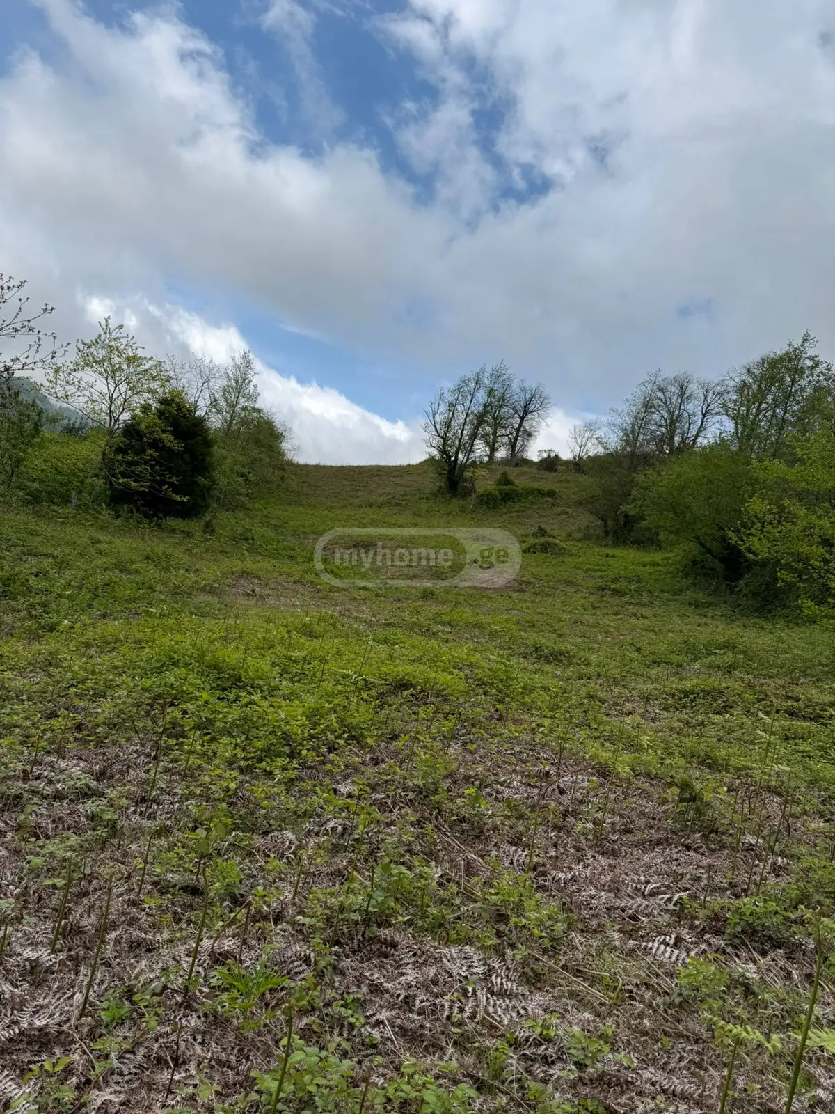 For Sale Sasoplo-Sameurneo Land Plot In Batumi view 9