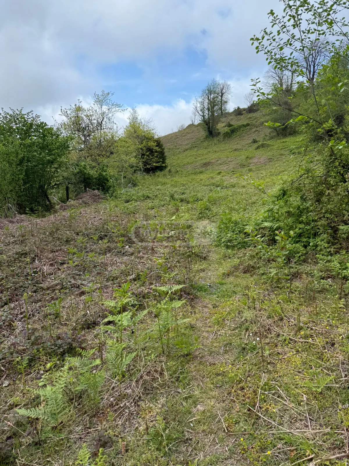 For Sale Sasoplo-Sameurneo Land Plot In Batumi view 1