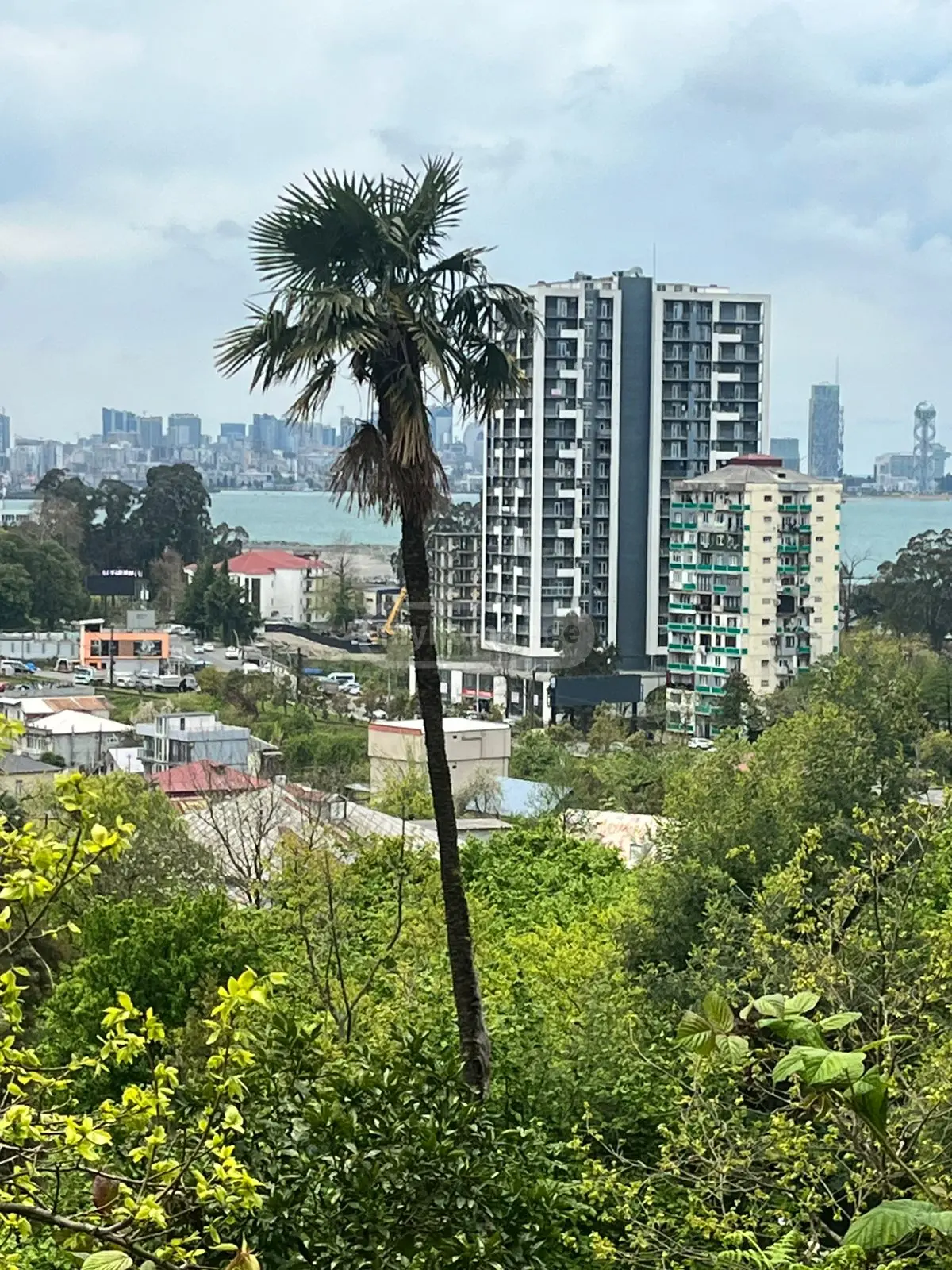 For Sale Sasoplo-Sameurneo Land Plot In Batumi view 6