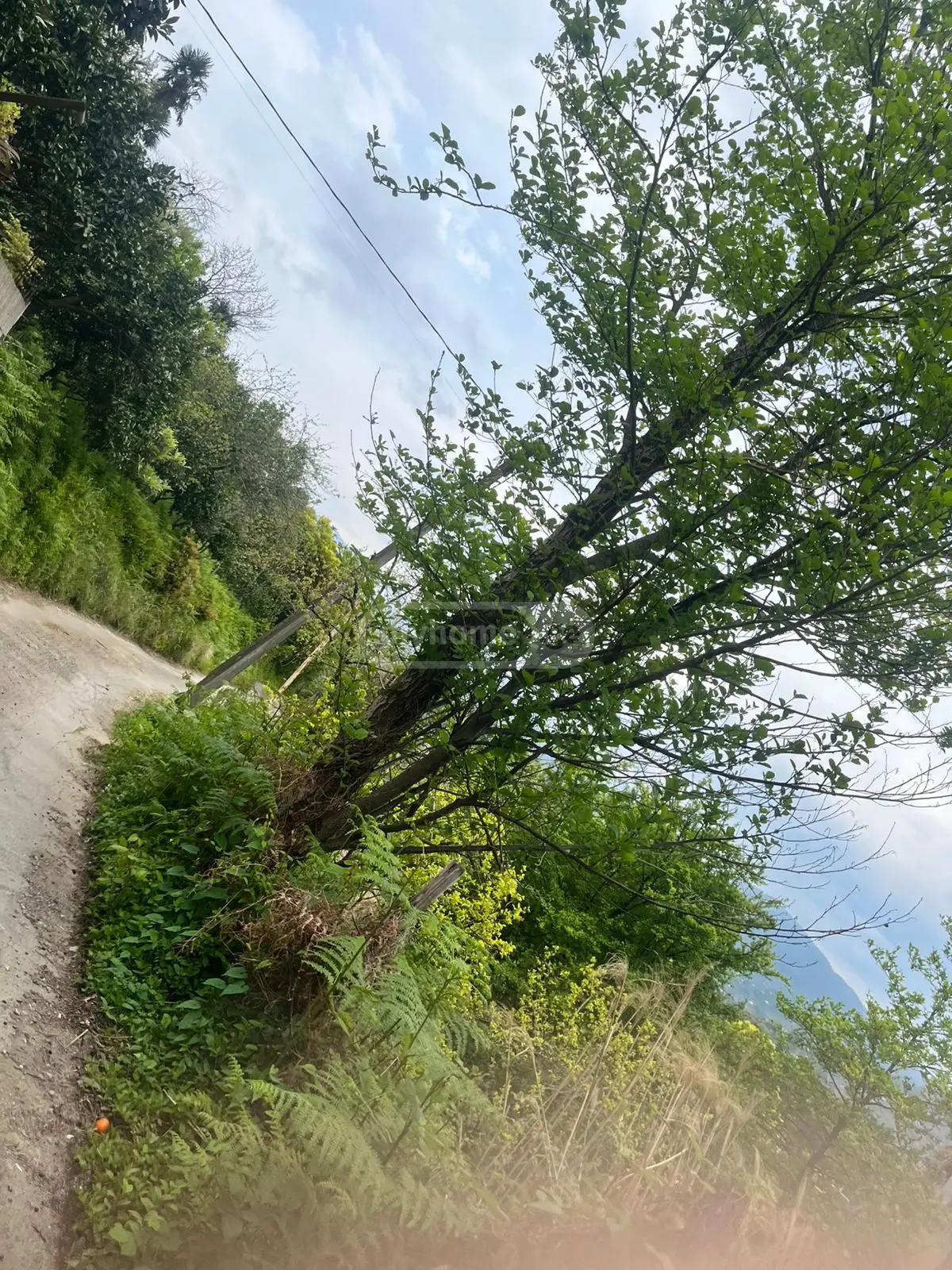 For Sale Sasoplo-Sameurneo Land Plot In Batumi view 2