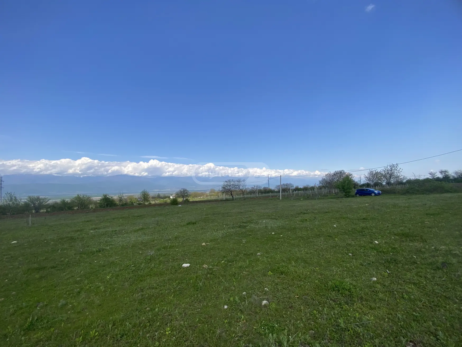 For Sale Sasoplo-Sameurneo Land Plot Telavis Munitsipalitetshi view 5
