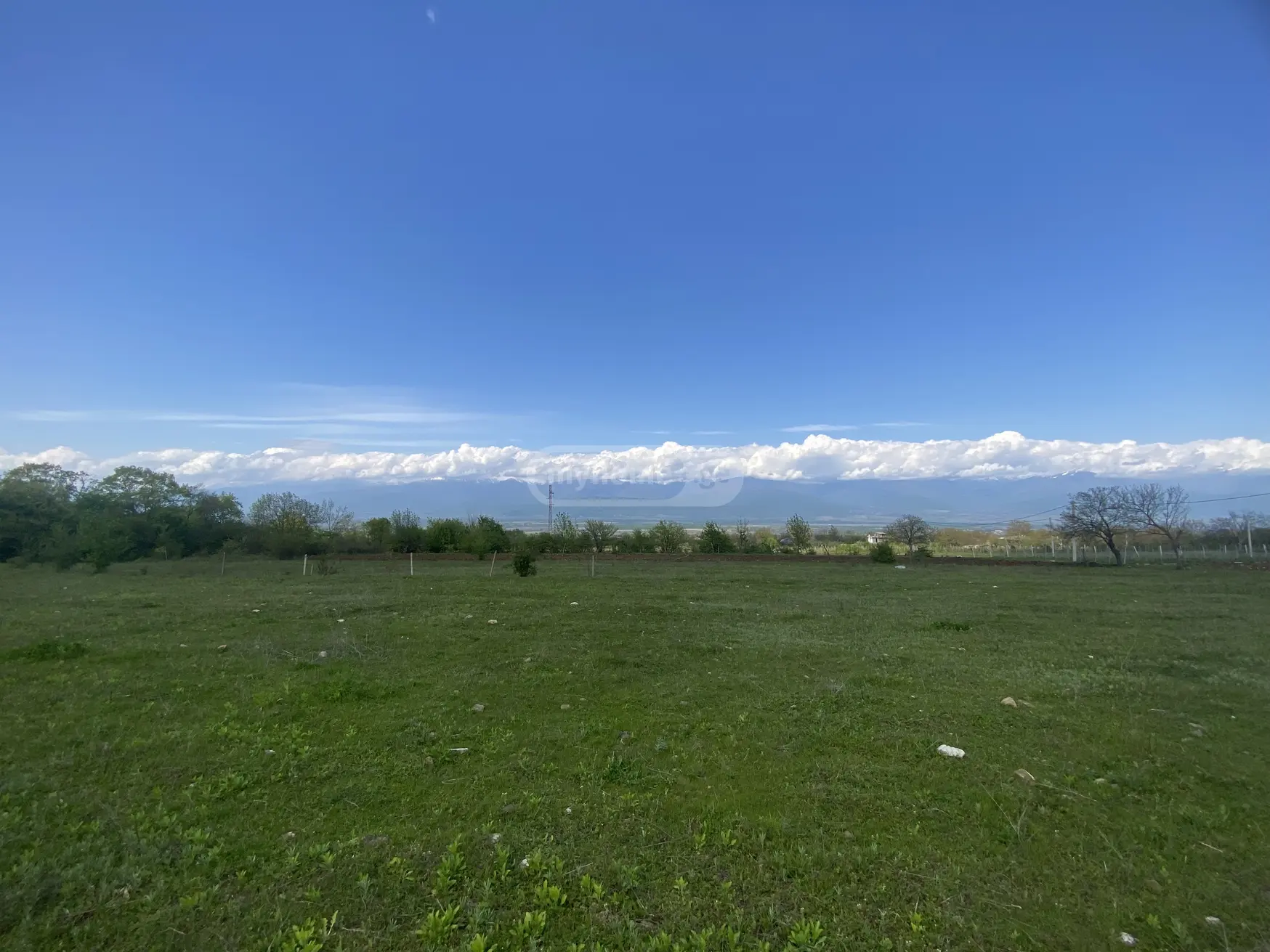 For Sale Sasoplo-Sameurneo Land Plot Telavis Munitsipalitetshi view 1