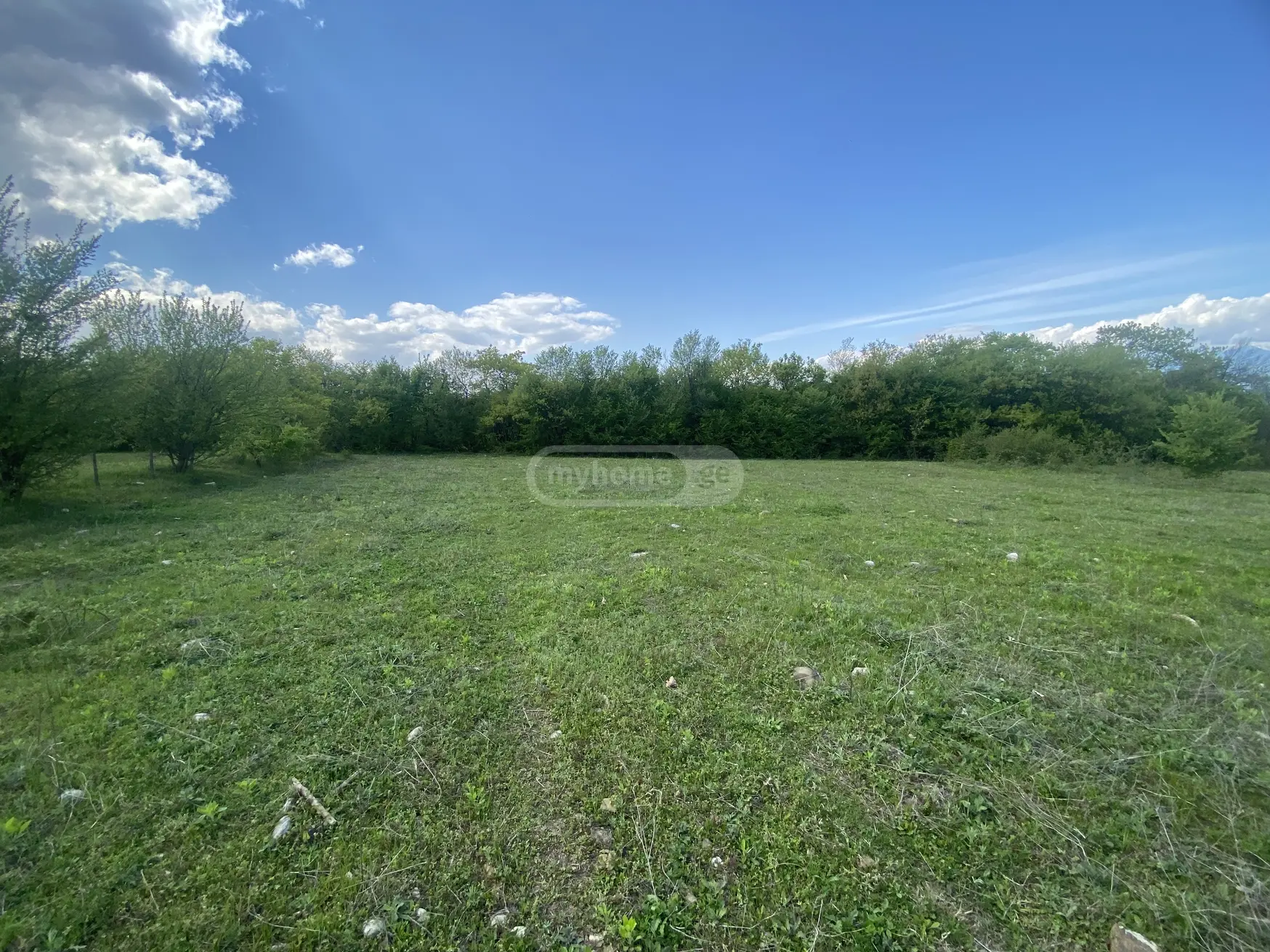 For Sale Sasoplo-Sameurneo Land Plot Telavis Munitsipalitetshi view 6