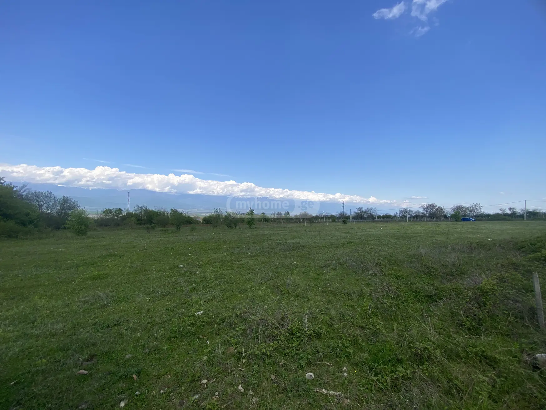 For Sale Sasoplo-Sameurneo Land Plot Telavis Munitsipalitetshi view 7
