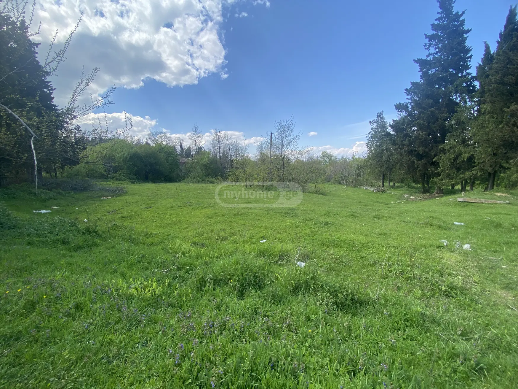 Продажа Земля / участок в Telavis Munitsipalitetshi view 1