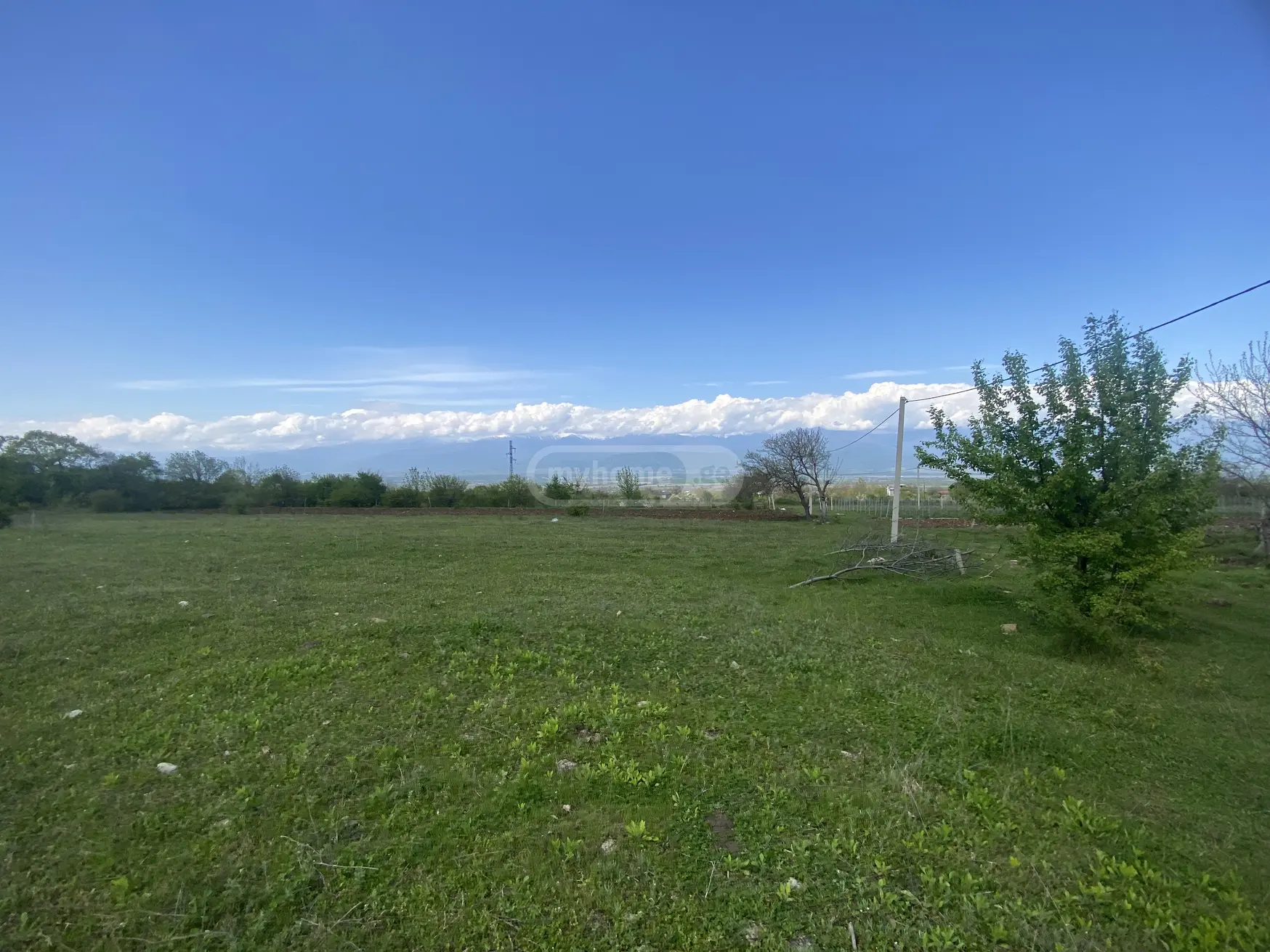 For Sale Sasoplo-Sameurneo Land Plot Telavis Munitsipalitetshi view 3