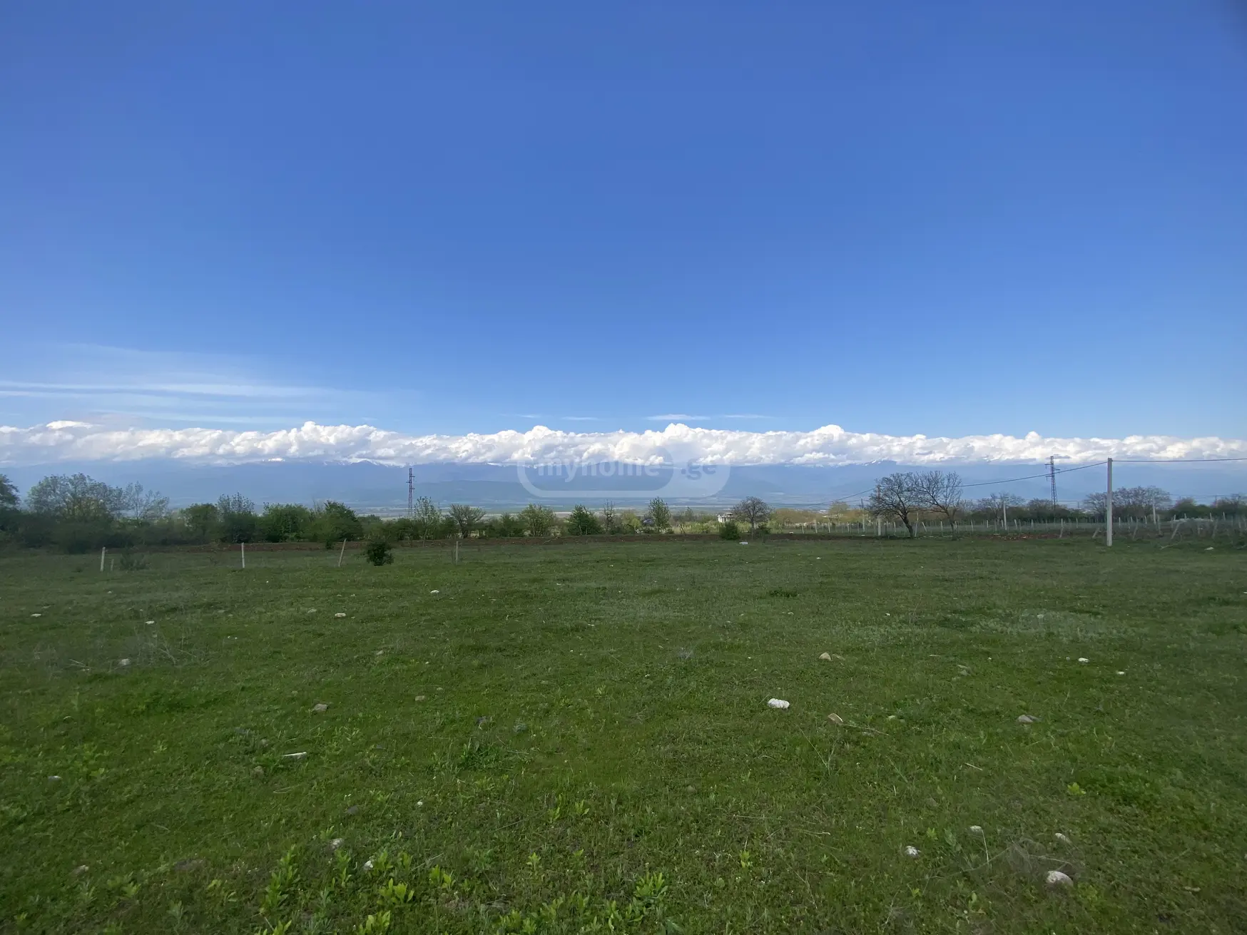 For Sale Sasoplo-Sameurneo Land Plot Telavis Munitsipalitetshi view 2